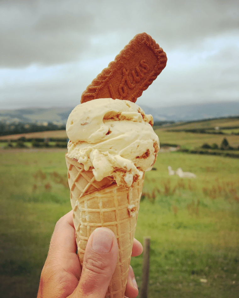 Jersey ice cream cone at Wellington Farm Cafe